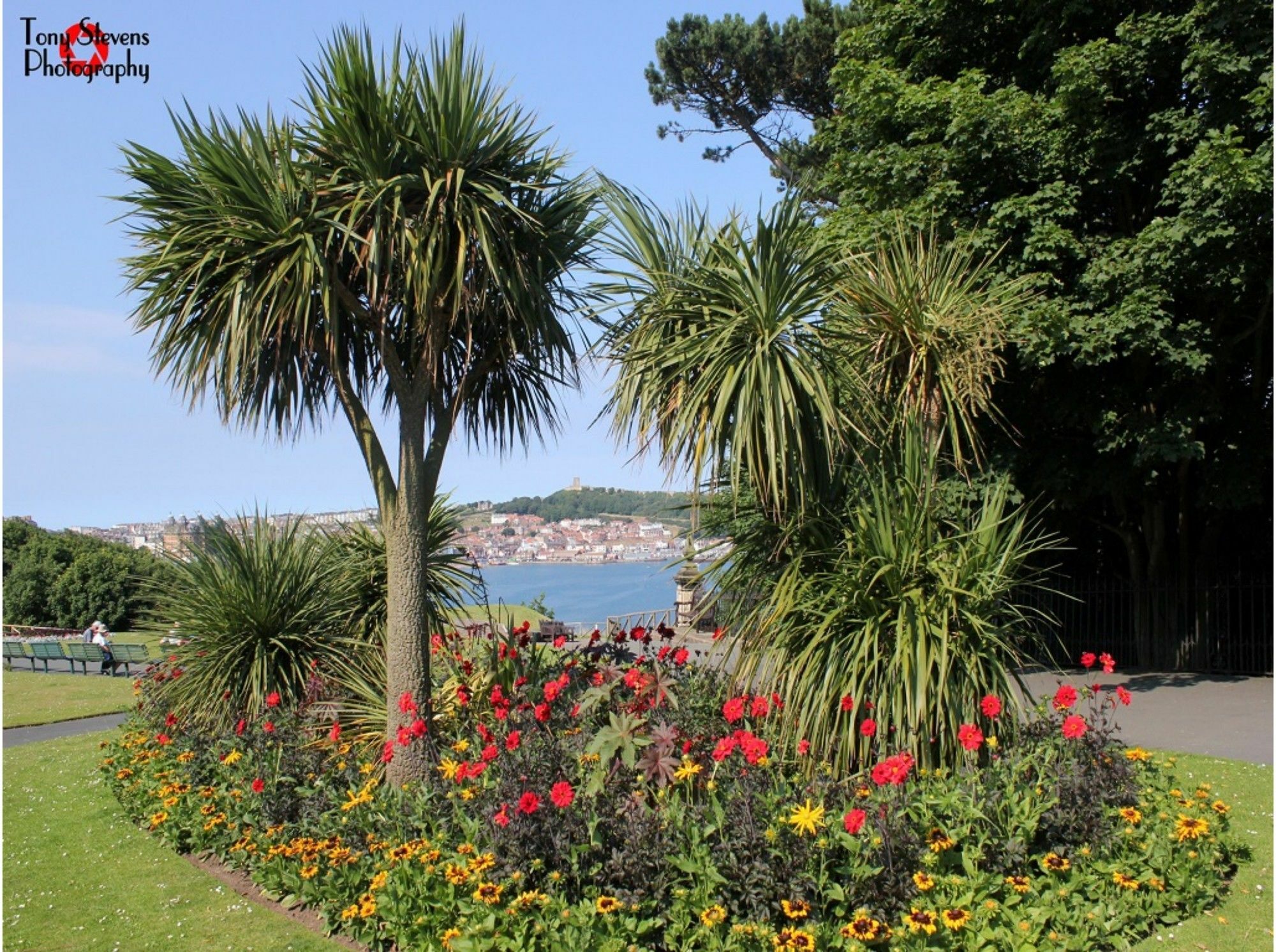 Esplanade Gardens B&B Scarborough Eksteriør billede